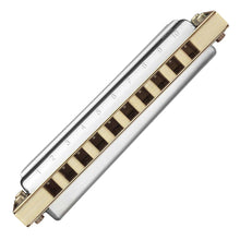 Cargar imagen en el visor de la galería, Armónica HOHNER Thunderbird