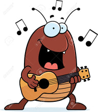 Load image into Gallery viewer, Guitar beginner's course (8 lessons)