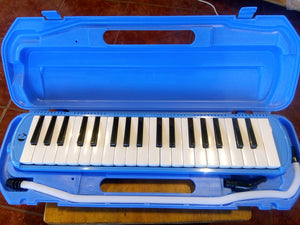 Melodic 37 keys black with case