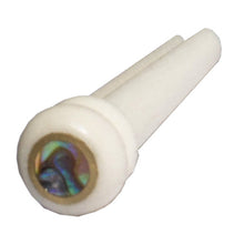 Load image into Gallery viewer, Pin holder bone brass abalone unit
